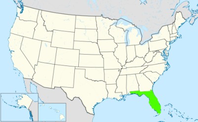 Phone numbers of the state Florida