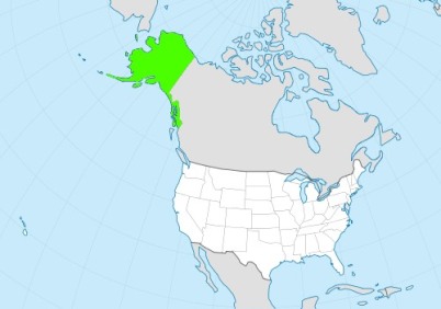 Phone numbers of the state Alaska